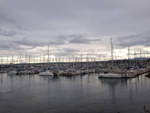 Monterey2014_boats